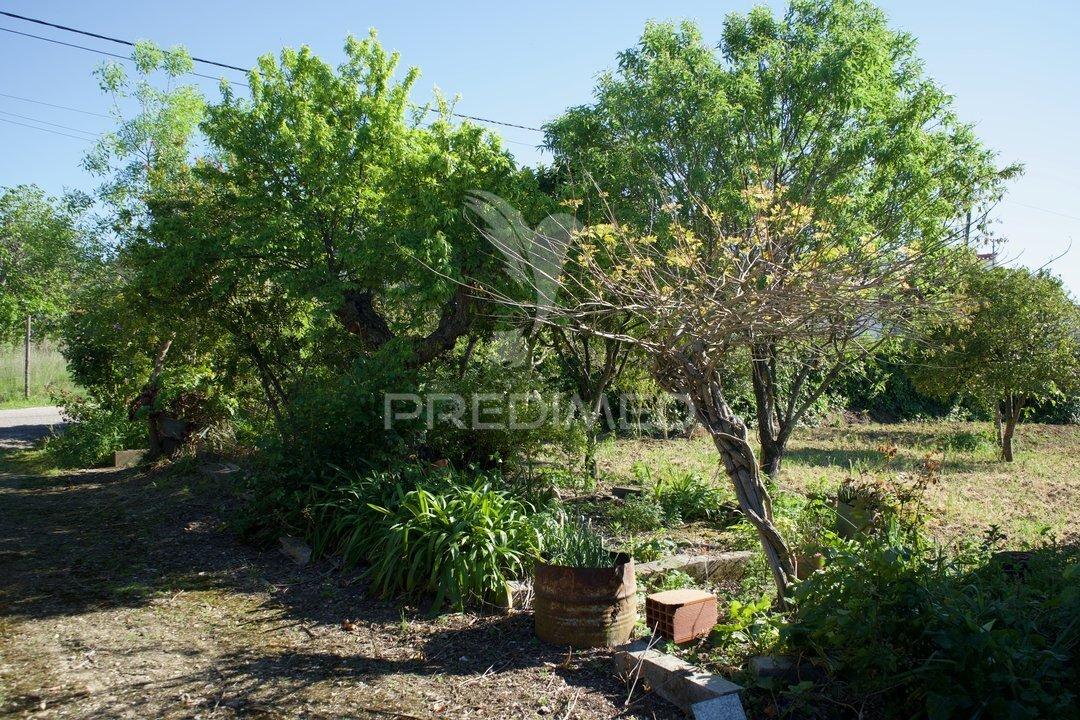 Casa de aldeia com terreno, poço | sobral – são vicente do paul