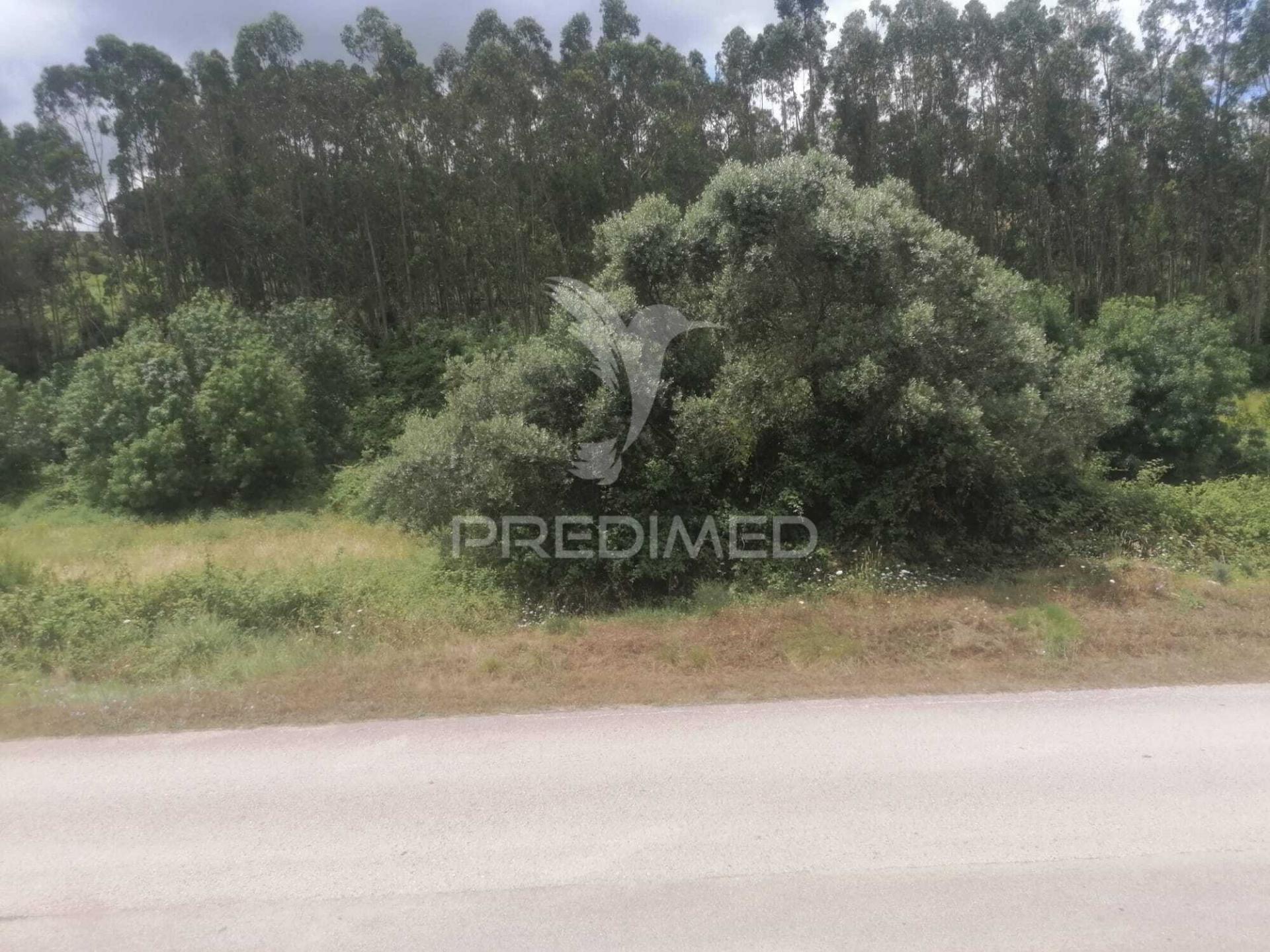 Terreno rustico chã - sobral monte agraço