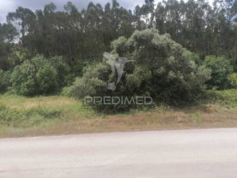 Terreno rustico chã - sobral monte agraço