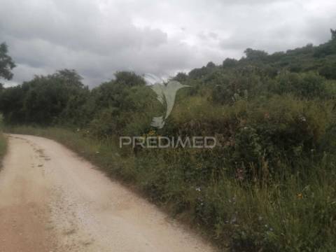 Terreno rustico raposa - sobral monte agraço