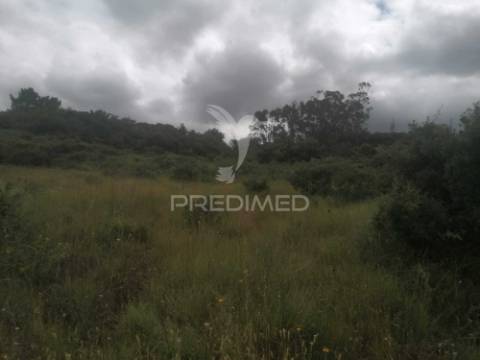 Terreno rustico raposa - sobral monte agraço