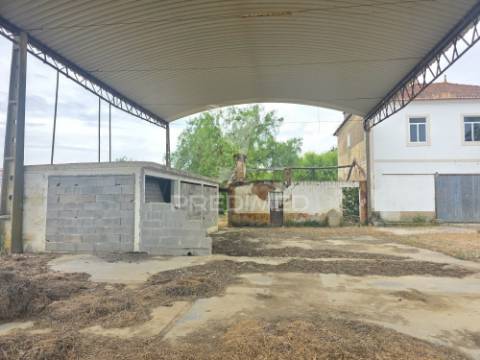 Quintinha da ilha - torres novas