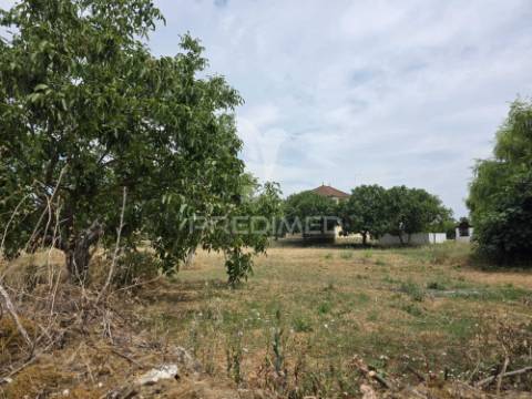 Quintinha da ilha - torres novas