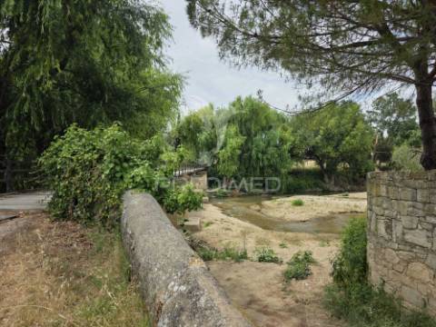 Quintinha da ilha - torres novas