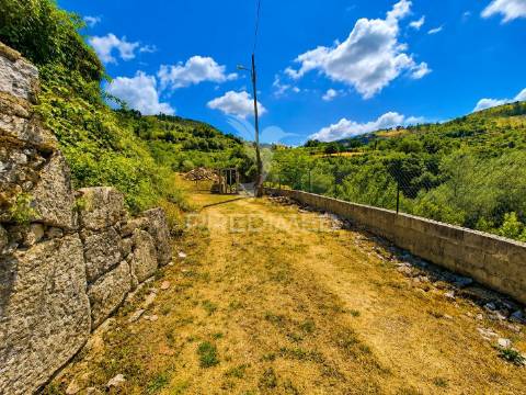 Quintinha em gomide – vila verde | moradia em pedra para restauro com 5.000 m²