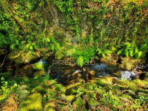 Quintinha em gomide – vila verde | moradia em pedra para restauro com 5.000 m²