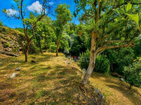 Quintinha em gomide – vila verde | moradia em pedra para restauro com 5.000 m²