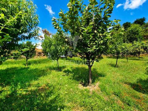 Quintinha em gomide – vila verde | moradia em pedra para restauro com 5.000 m²