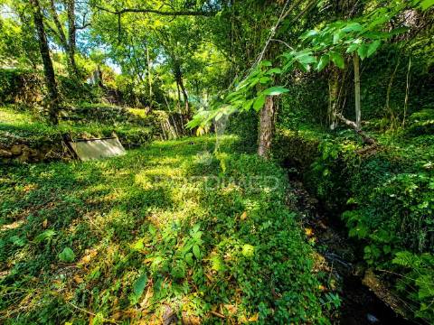 Quintinha em gomide – vila verde | moradia em pedra para restauro com 5.000 m²