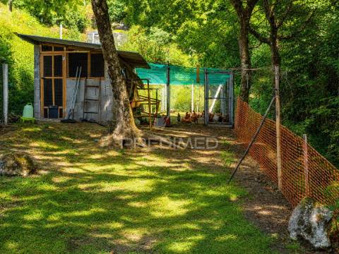 Quintinha em gomide – vila verde | moradia em pedra para restauro com 5.000 m²
