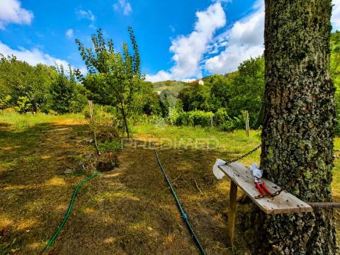 Quintinha em gomide – vila verde | moradia em pedra para restauro com 5.000 m²
