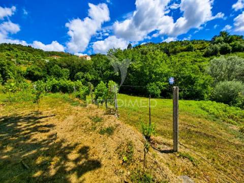 Quintinha em gomide – vila verde | moradia em pedra para restauro com 5.000 m²
