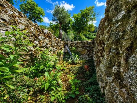 Quintinha em gomide – vila verde | moradia em pedra para restauro com 5.000 m²
