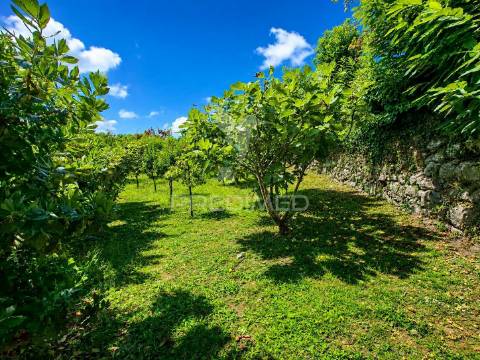 Quintinha em gomide – vila verde | moradia em pedra para restauro com 5.000 m²