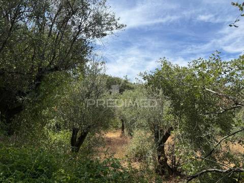 Venda judicial de quinhão hereditário – casa e terrenos em chãos, ferreira do zêzere
