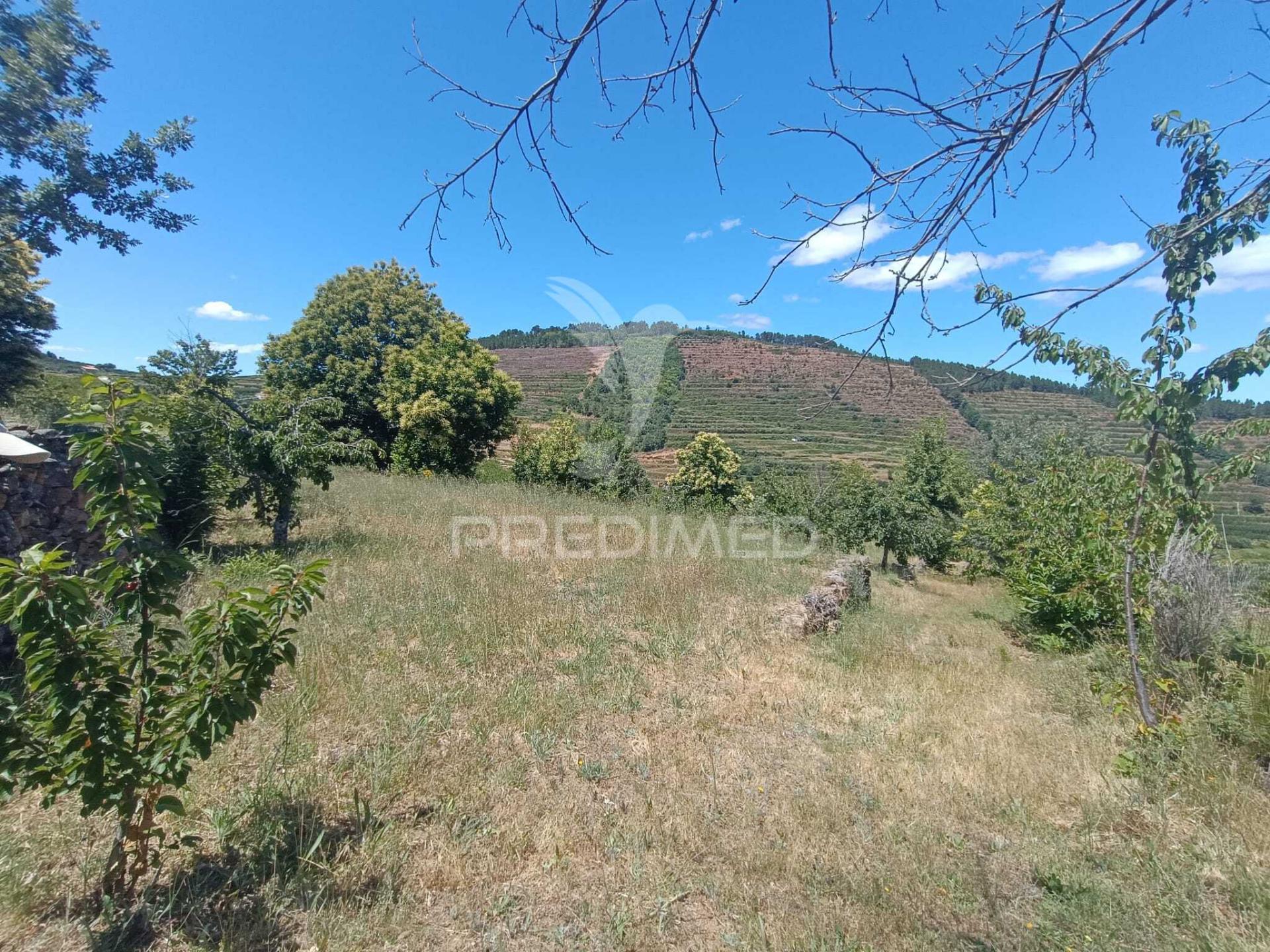 Terreno em alcongosta