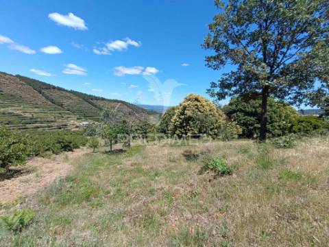 Terreno em alcongosta