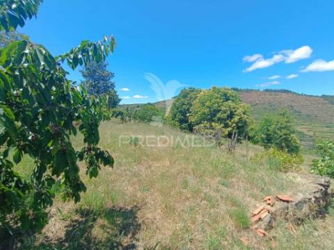 Terreno em alcongosta