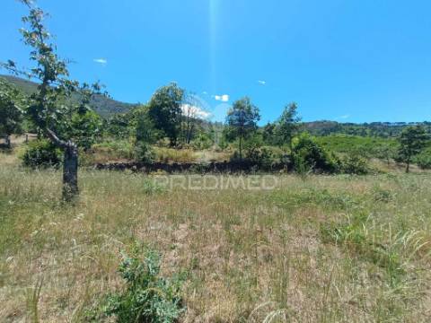 Terreno em alcongosta