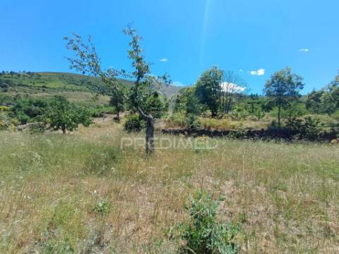 Terreno em alcongosta