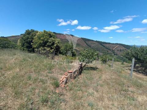 Terreno em alcongosta