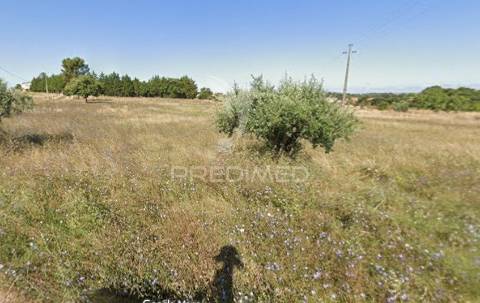 Terreno rustico