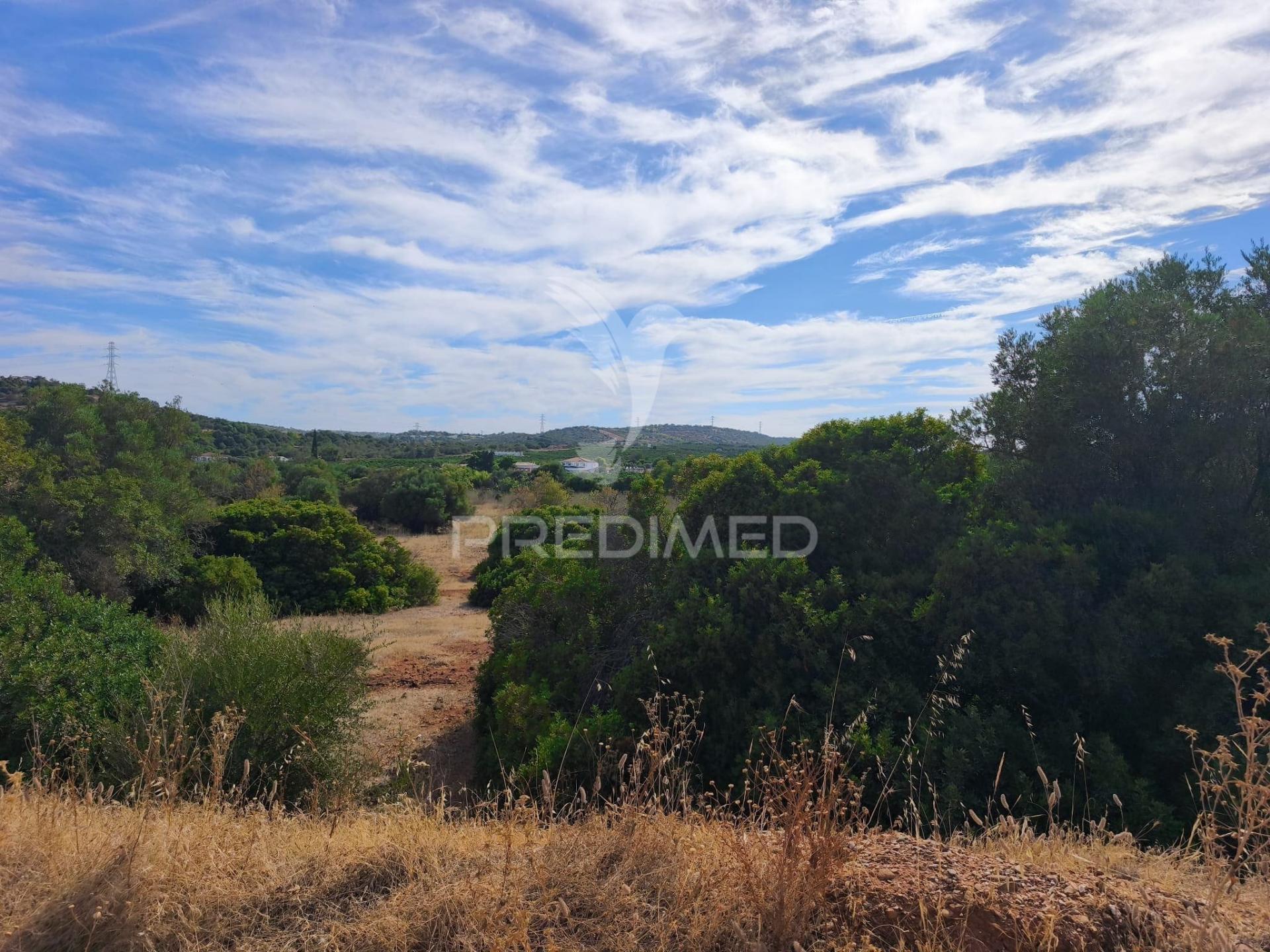 Albufeira-paderne - terreno rustico 30.080m2