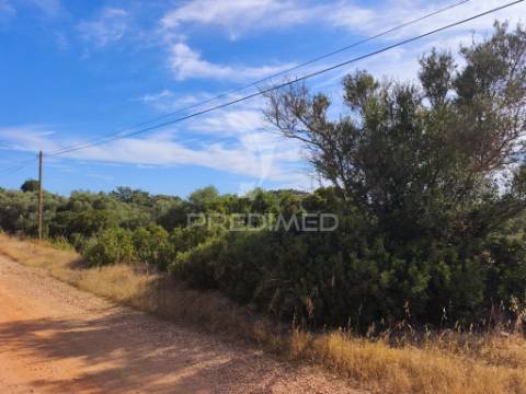 Albufeira-paderne - terreno rustico 30.080m2