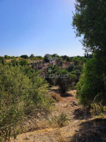 Albufeira-paderne - almeijoafrasterreno rustico 8160m2
