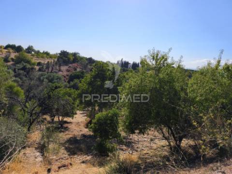 Albufeira-paderne - almeijoafrasterreno rustico 8160m2