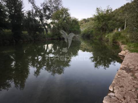 Albufeira-paderne - almeijoafrasterreno rustico 8160m2