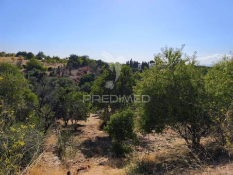 Albufeira-paderne - almeijoafrasterreno rustico 8160m2