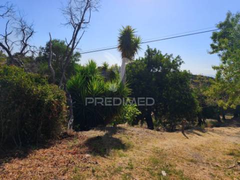 Albufeira-paderne - almeijoafrasterreno rustico 8160m2