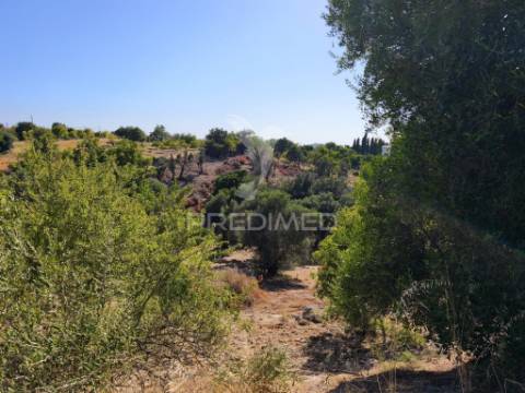 Albufeira-paderne - almeijoafrasterreno rustico 8160m2