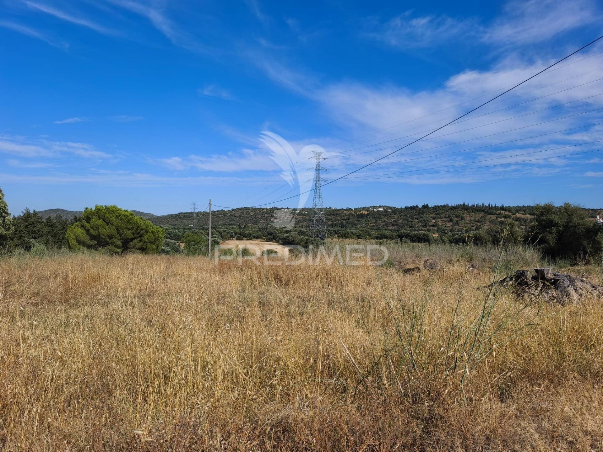 Albufeira-paderne alcaria terreno rústico plano 33440m²