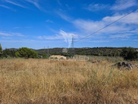 Albufeira-paderne alcaria terreno rústico plano 33440m²