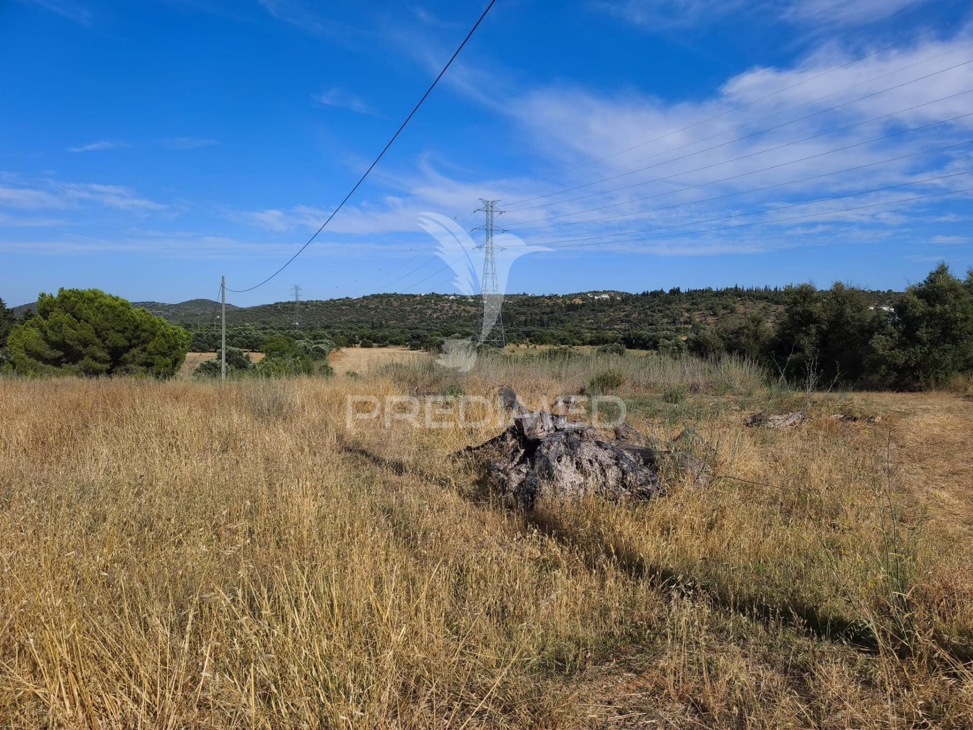 Albufeira-paderne alcaria terreno rústico plano 33440m²