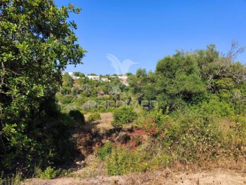 Albufeira-paderne casas pires -  terreno rustico plano 9200m²
