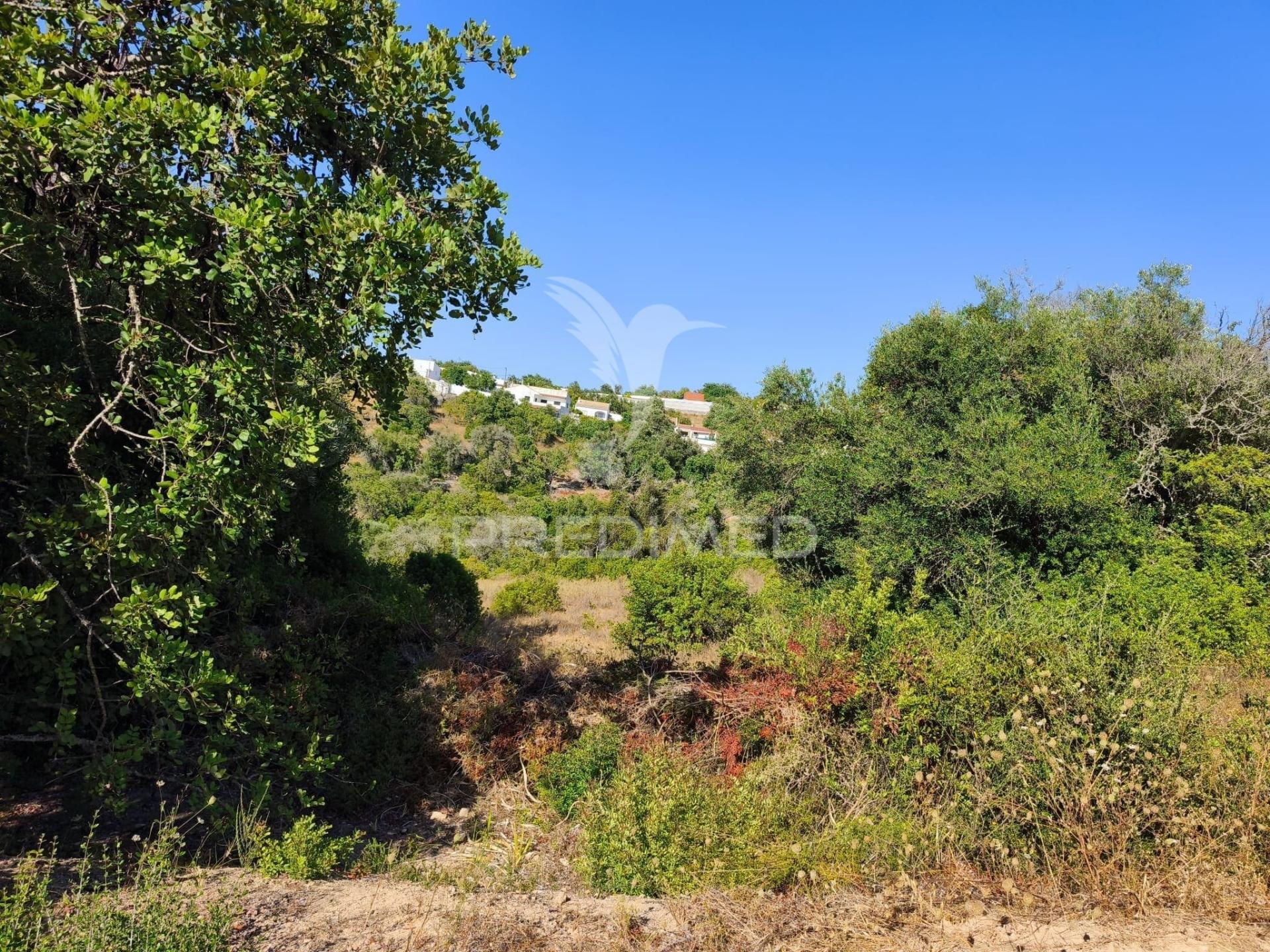 Albufeira-paderne casas pires -  terreno rustico plano 9200m²