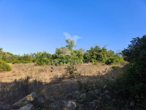 Albufeira-paderne casas pires -  terreno rustico plano 9200m²