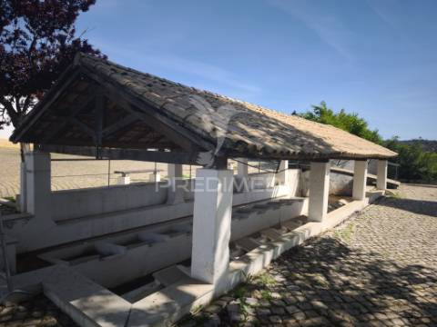 Albufeira-paderne casas pires -  terreno rustico plano 9200m²