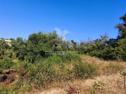 Albufeira-paderne casas pires -  terreno rustico plano 9200m²