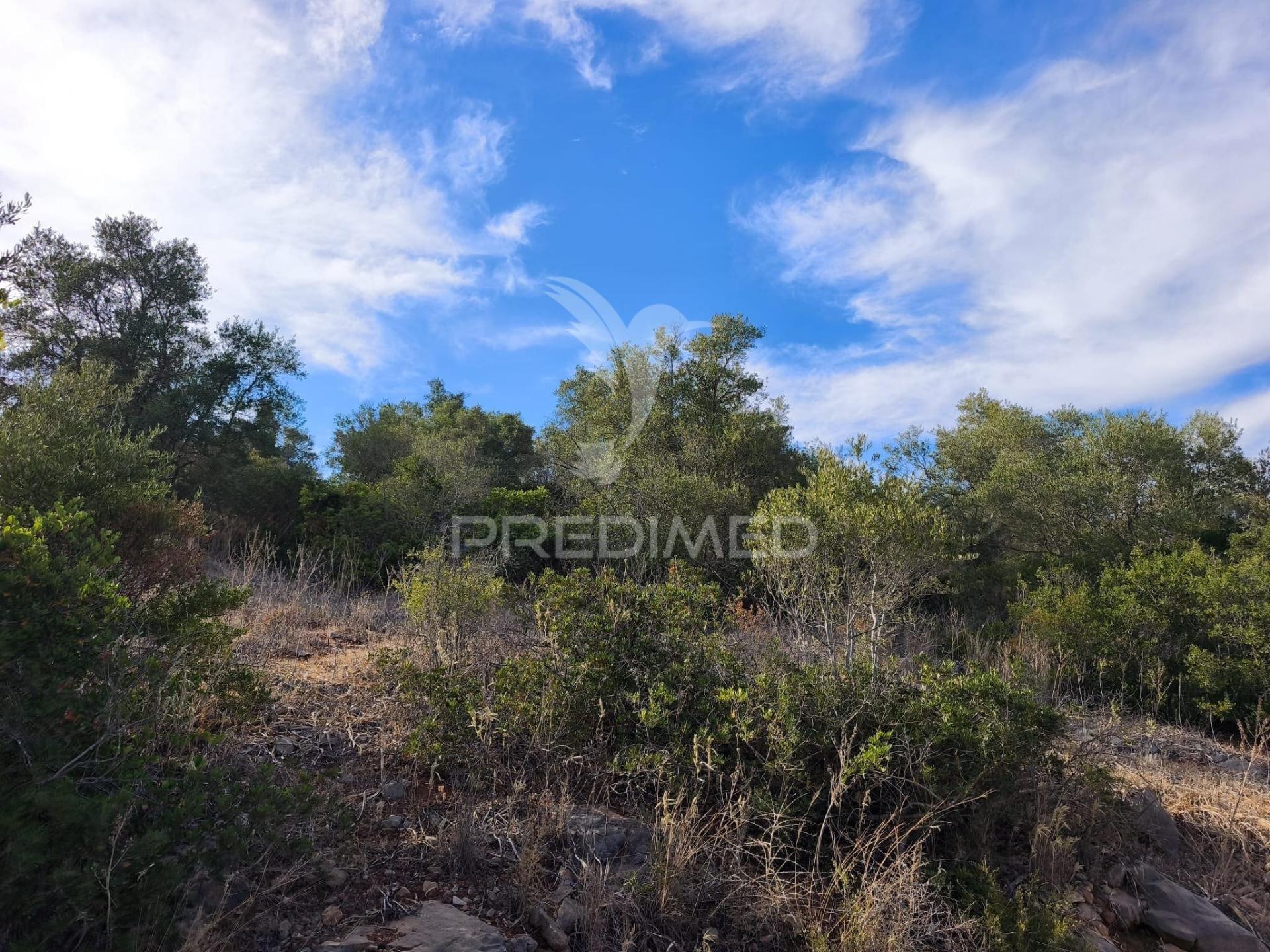 Albufeira-paderne matos cima - terreno rustico 23.520m2
