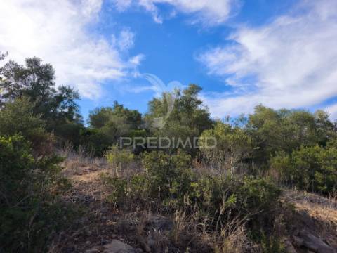 Albufeira-paderne matos cima - terreno rustico 23.520m2