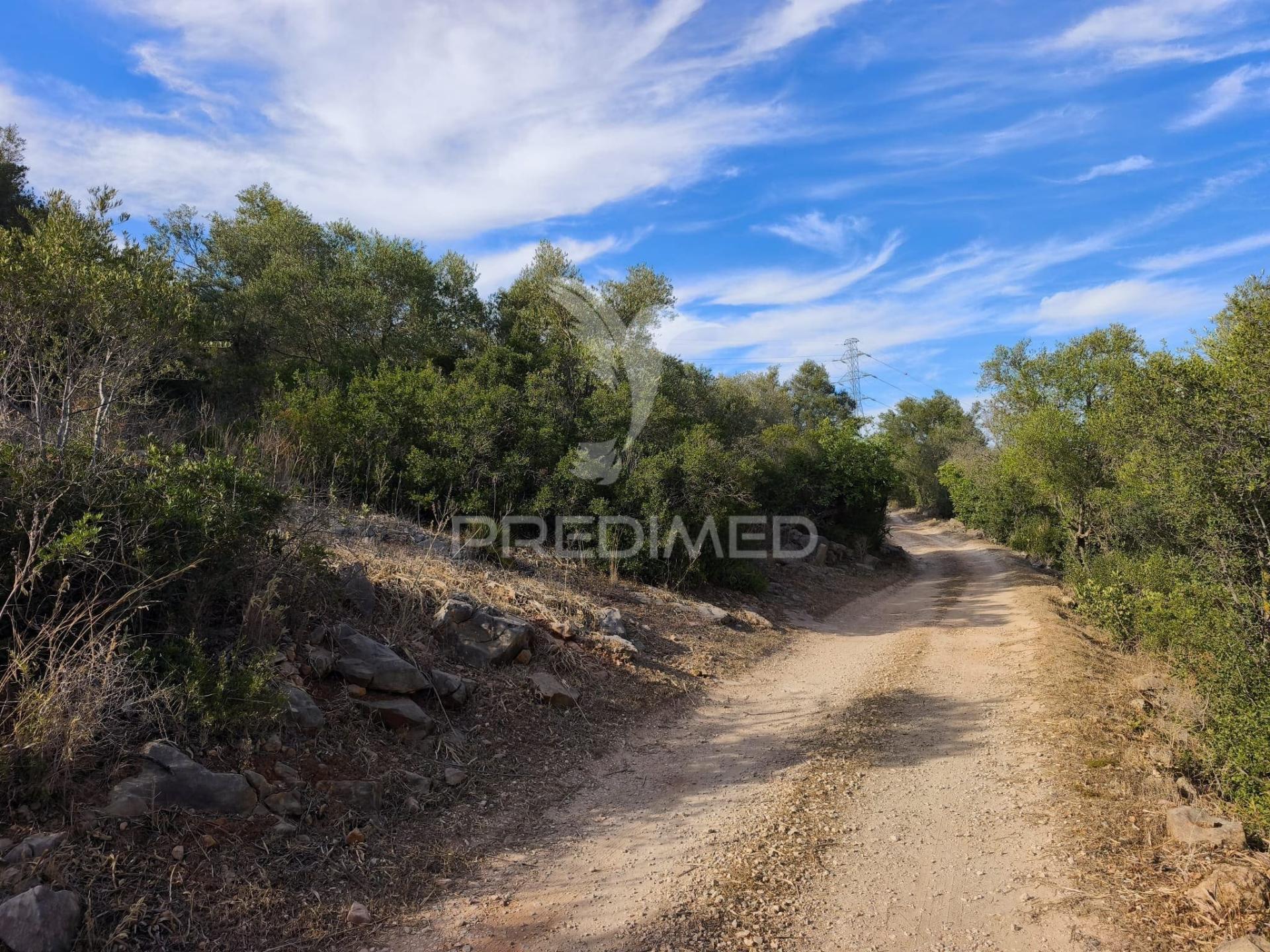 Albufeira-paderne matos cima - terreno rustico 23.520m2