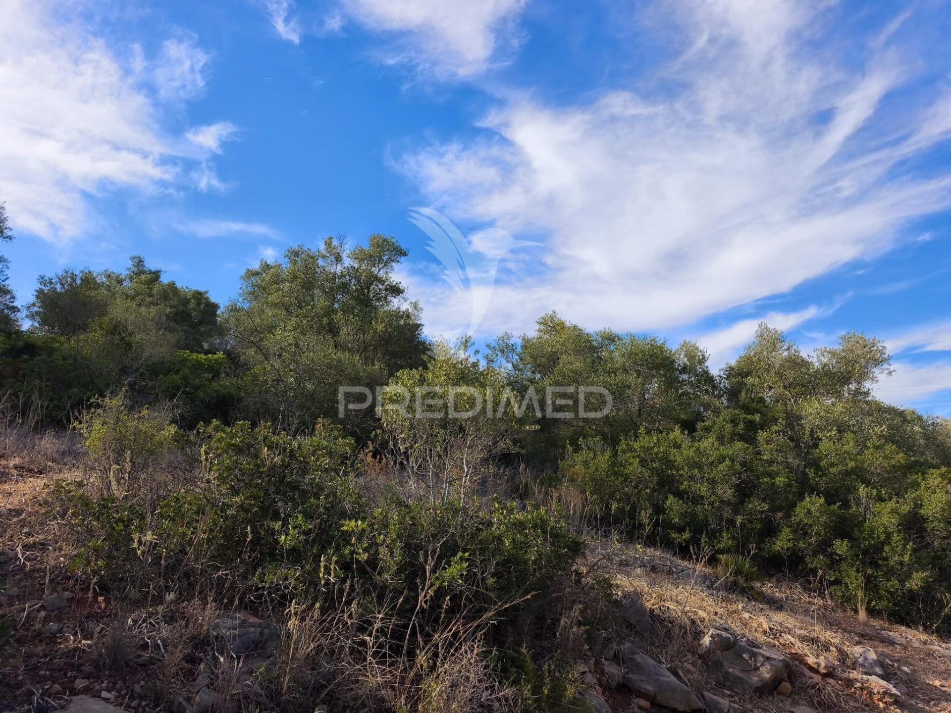Albufeira-paderne matos cima - terreno rustico 23.520m2