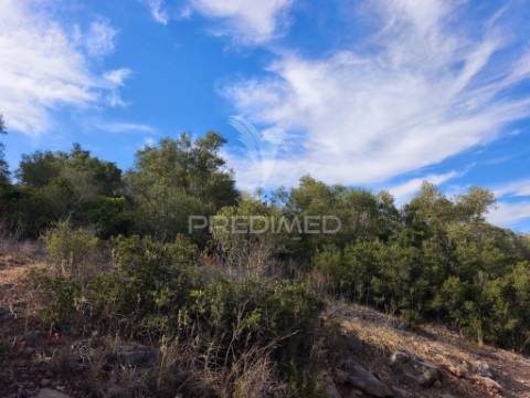 Albufeira-paderne matos cima - terreno rustico 23.520m2