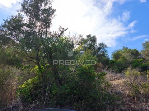 Albufeira-paderne matos cima - terreno rustico 23.520m2