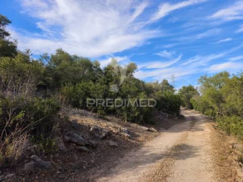Albufeira-paderne matos cima - terreno rustico 23.520m2