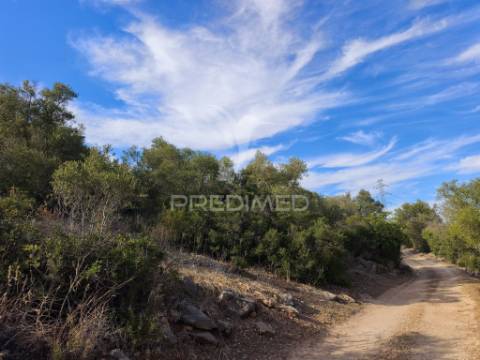 Albufeira-paderne matos cima - terreno rustico 23.520m2